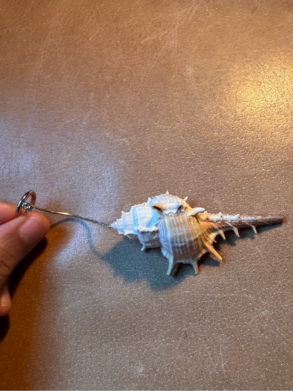 Shell earcuff earring single ๐ - Picture 5 of 9